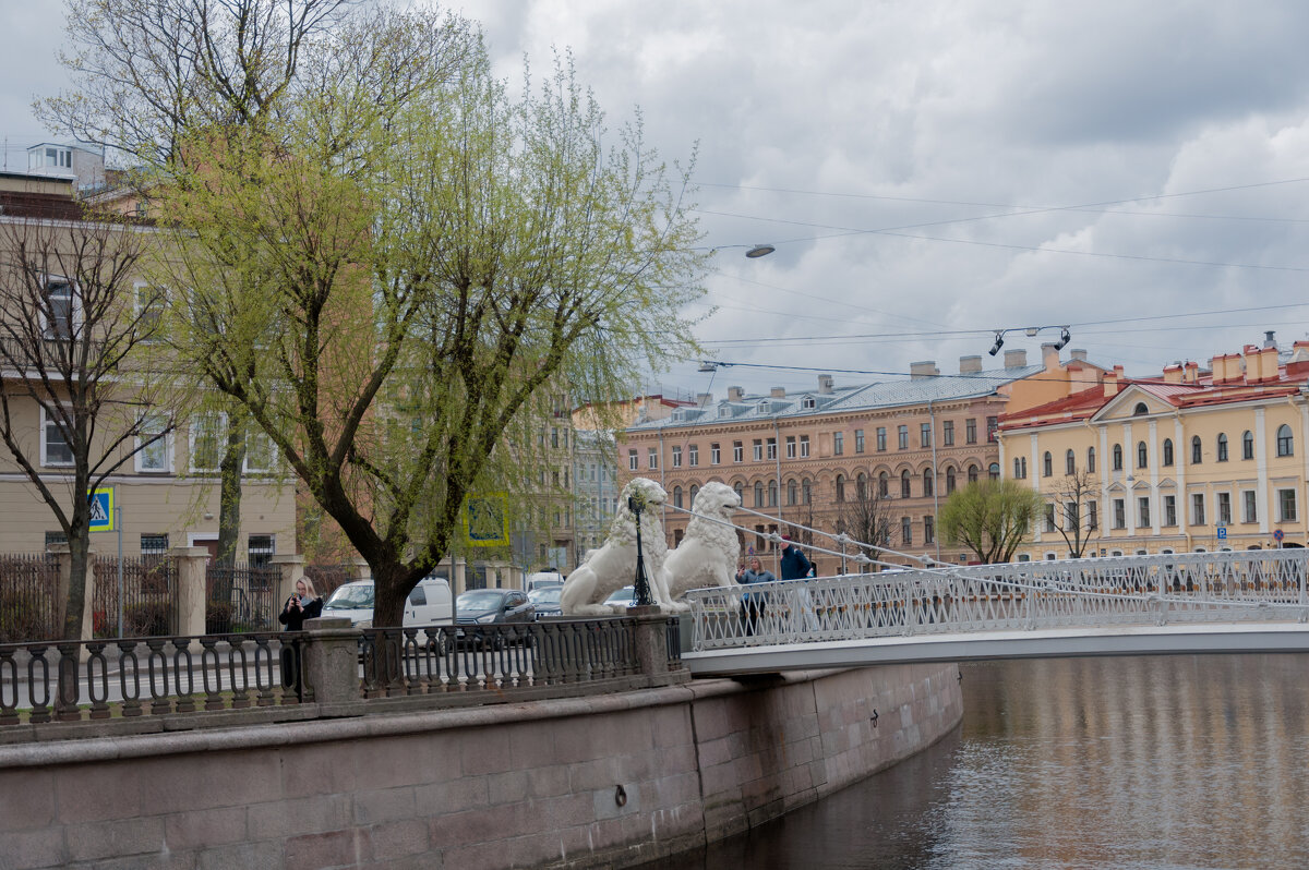 *** - Светлана .