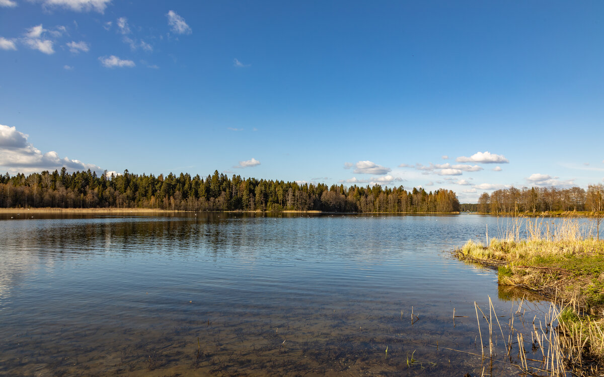 Водная гладь  Валдая.. - Yuri Chudnovetz