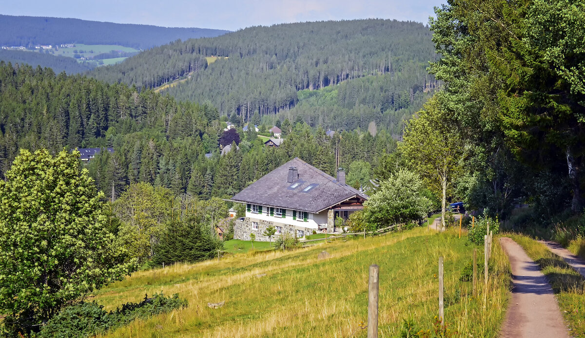 ***** - Андроник Александр ***** - Андроник Александр