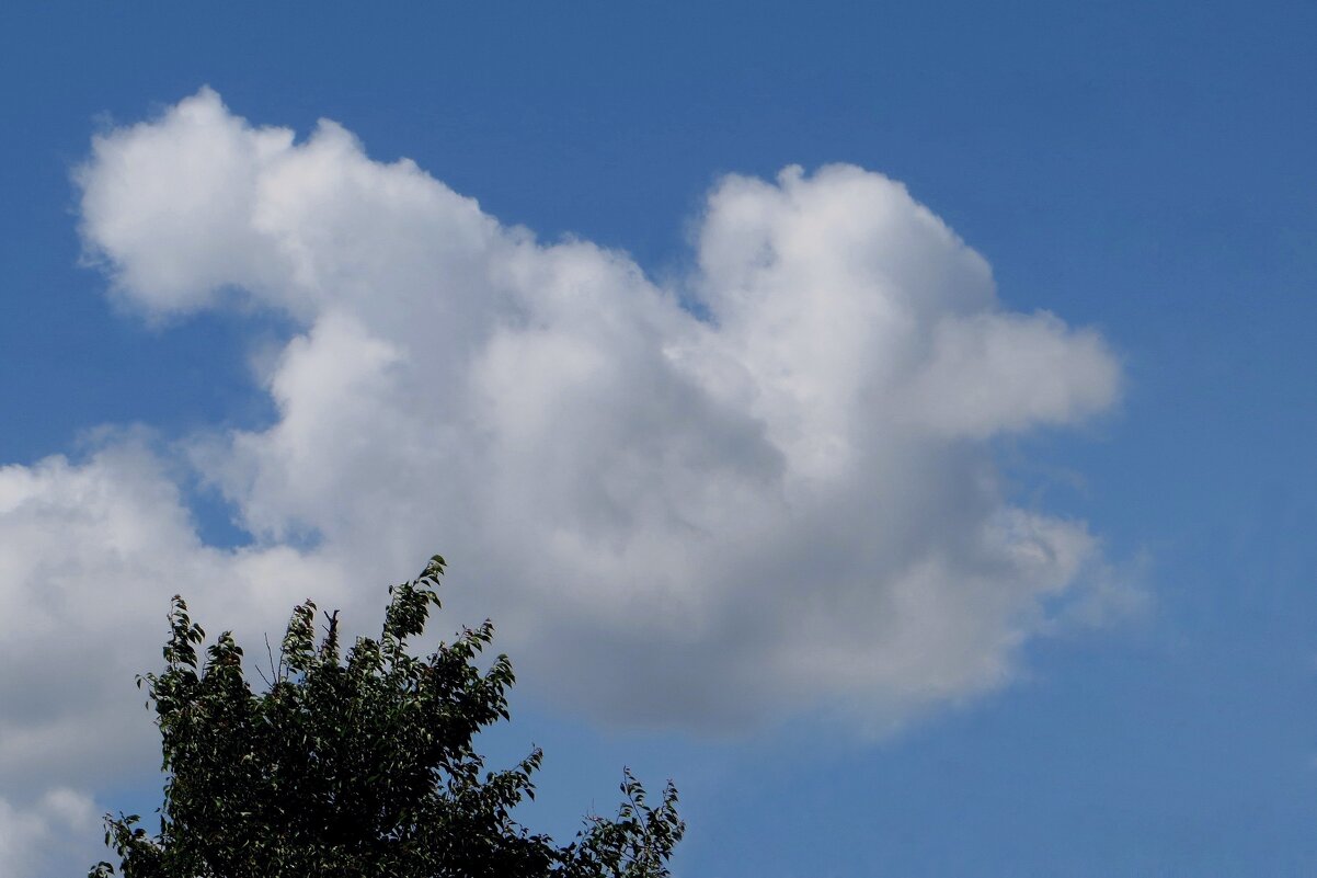 Кто летит по небу? - Татьяна Смоляниченко