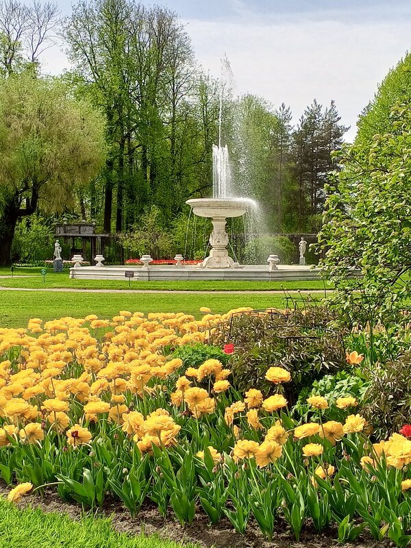 Фонтан - Сапсан 