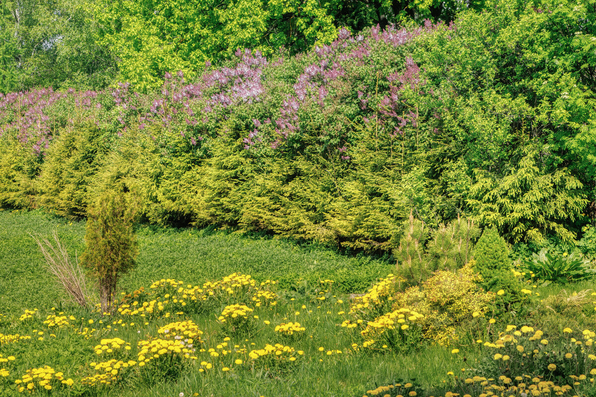 Про Питер - Владимир Колесников
