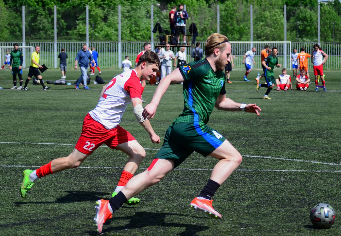 *** - Наталья Вязигина