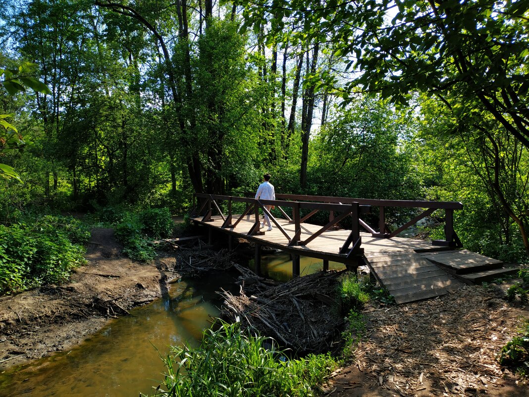 * * * - Андрей Лукьянов * * * - Андрей Лукьянов