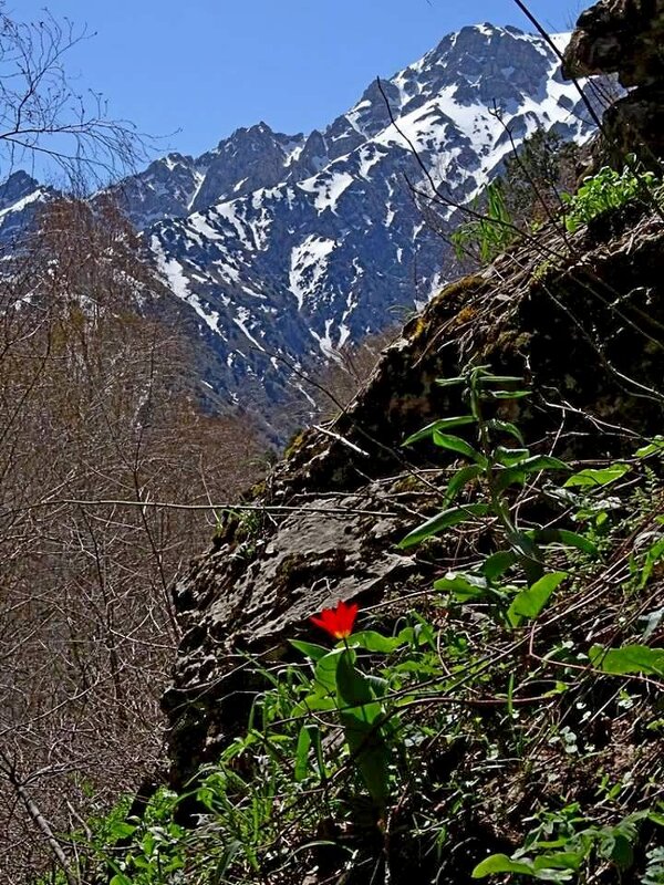 ПО ГОРАМ. - Виктор Осипчук ПО ГОРАМ. - Виктор Осипчук