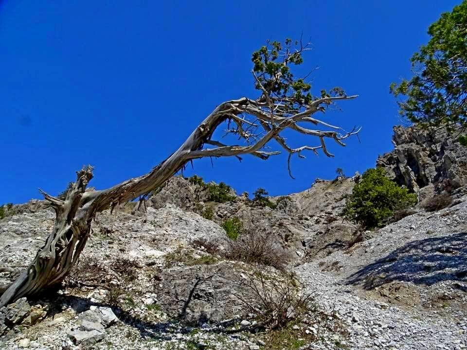 ПО ГОРАМ. - Виктор Осипчук ПО ГОРАМ. - Виктор Осипчук