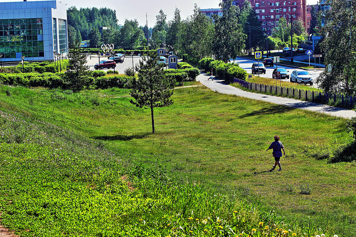 Июнь...По свежей зеленой травке! - Владимир 