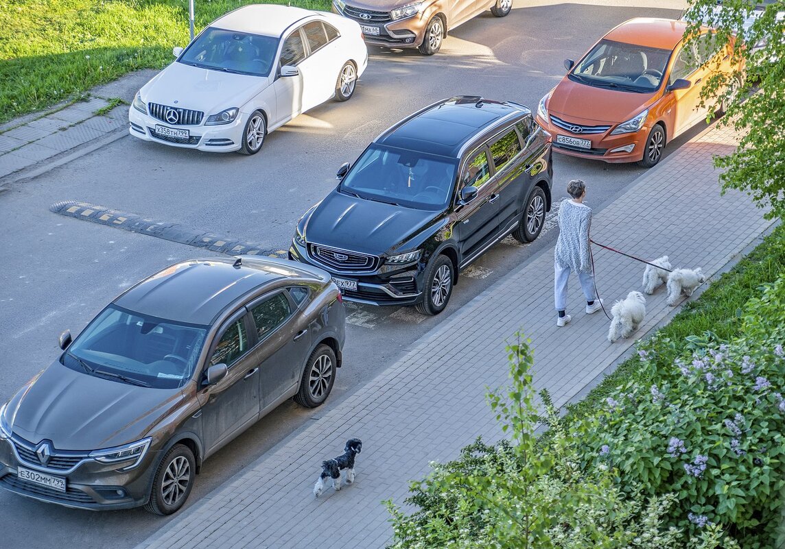 На утренней прогулке - Валерий Иванович На утренней прогулке - Валерий Иванович