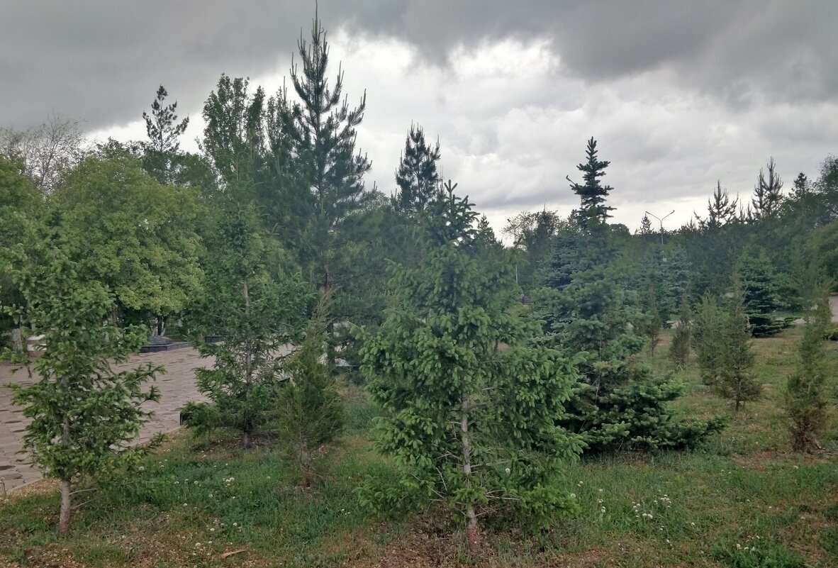 Время мая - Андрей Хлопонин