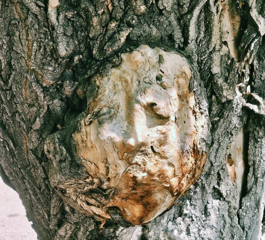 Лицо человека... - Георгиевич Лицо человека... - Георгиевич