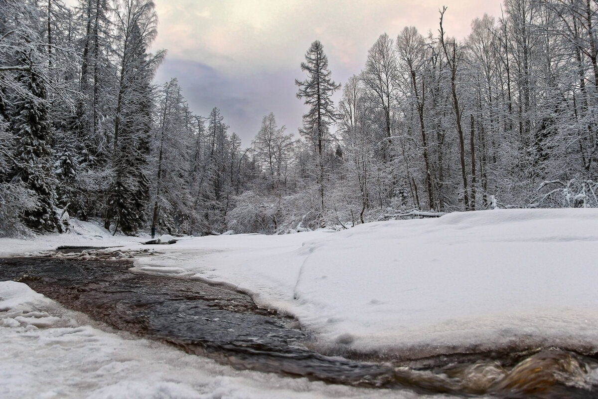 Линдуловская роща - skijumper Иванов Линдуловская роща - skijumper Иванов