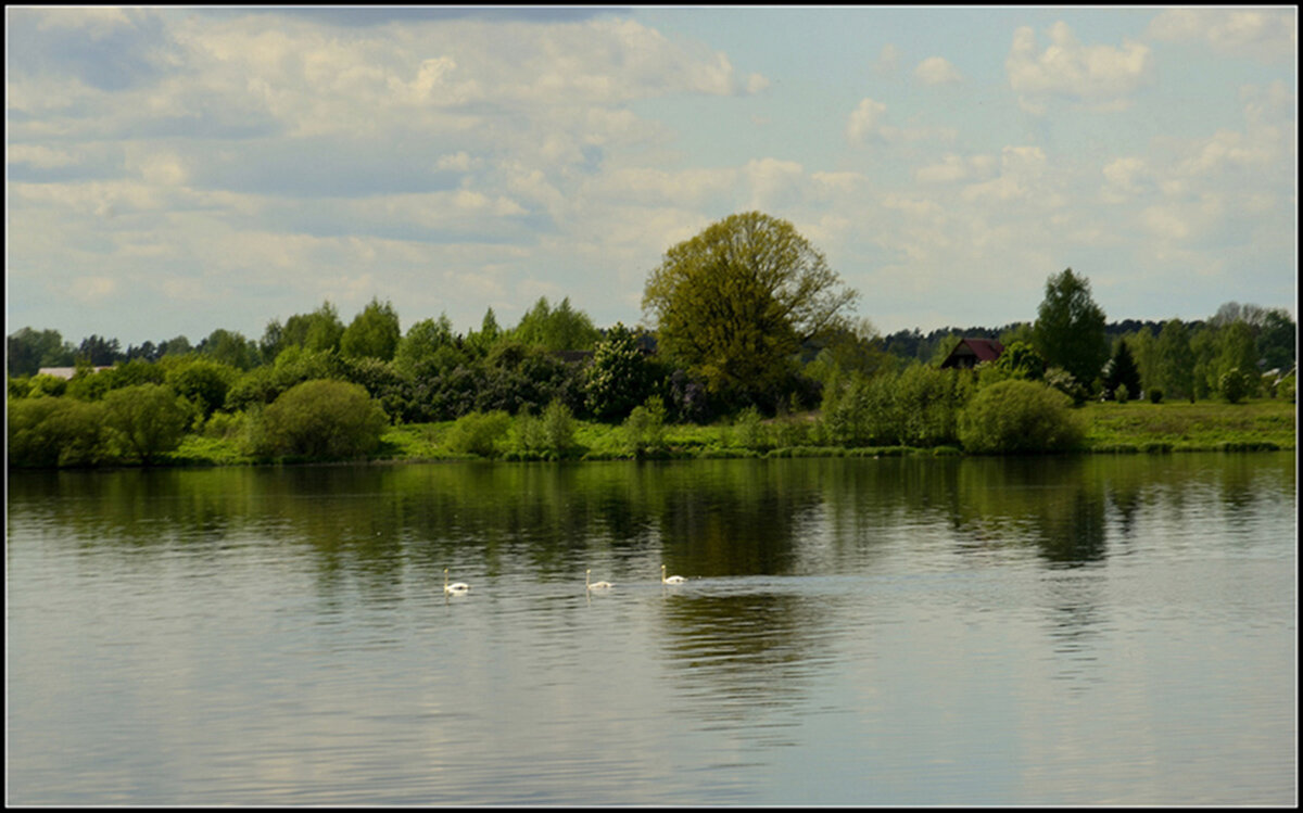 *** - Aleksandr Gal *** - Aleksandr Gal