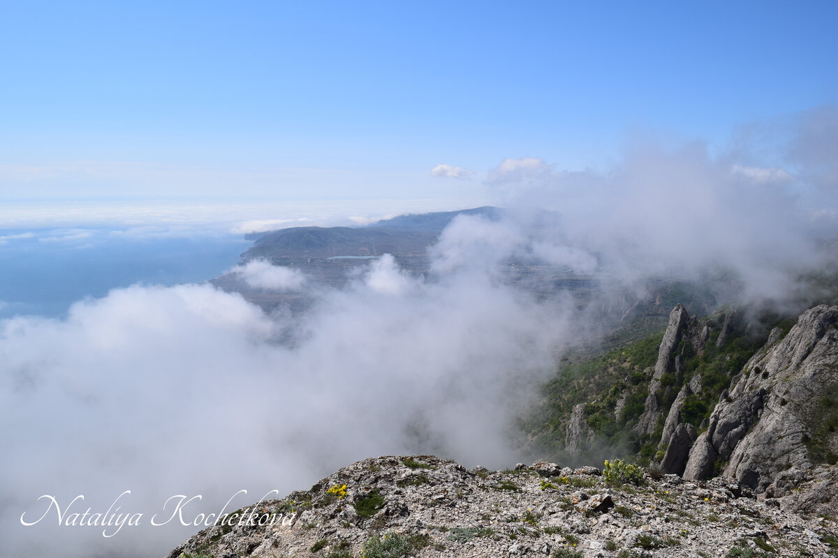Природа Крыма - Amazing Cosmea