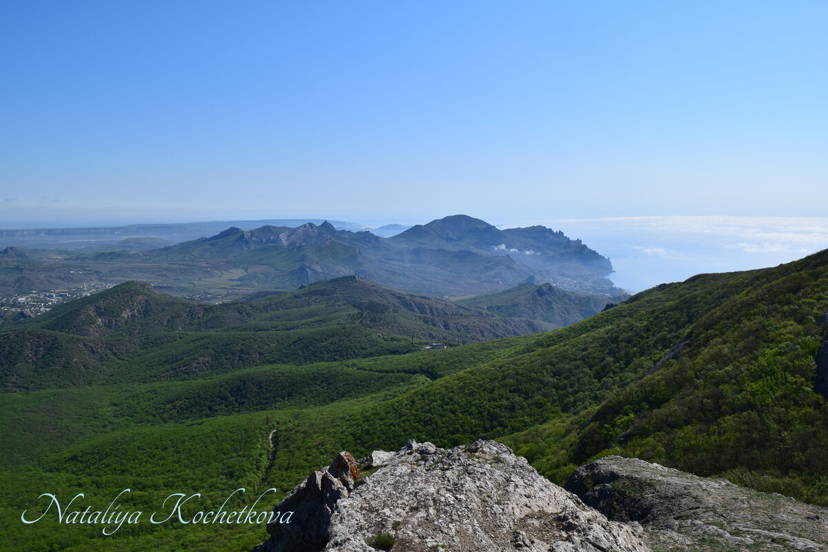 Природа Крыма - Amazing Cosmea Природа Крыма - Amazing Cosmea