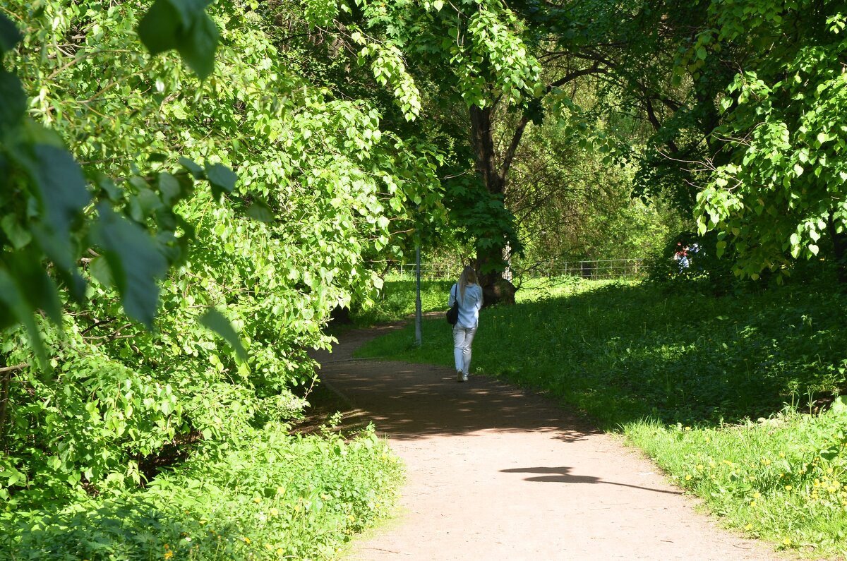 В парке - Oleg4618 Шутченко