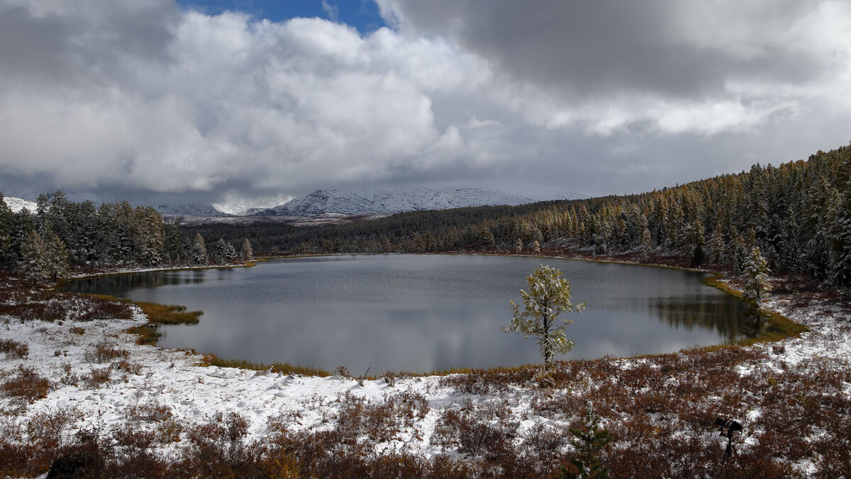 *** - владимир 