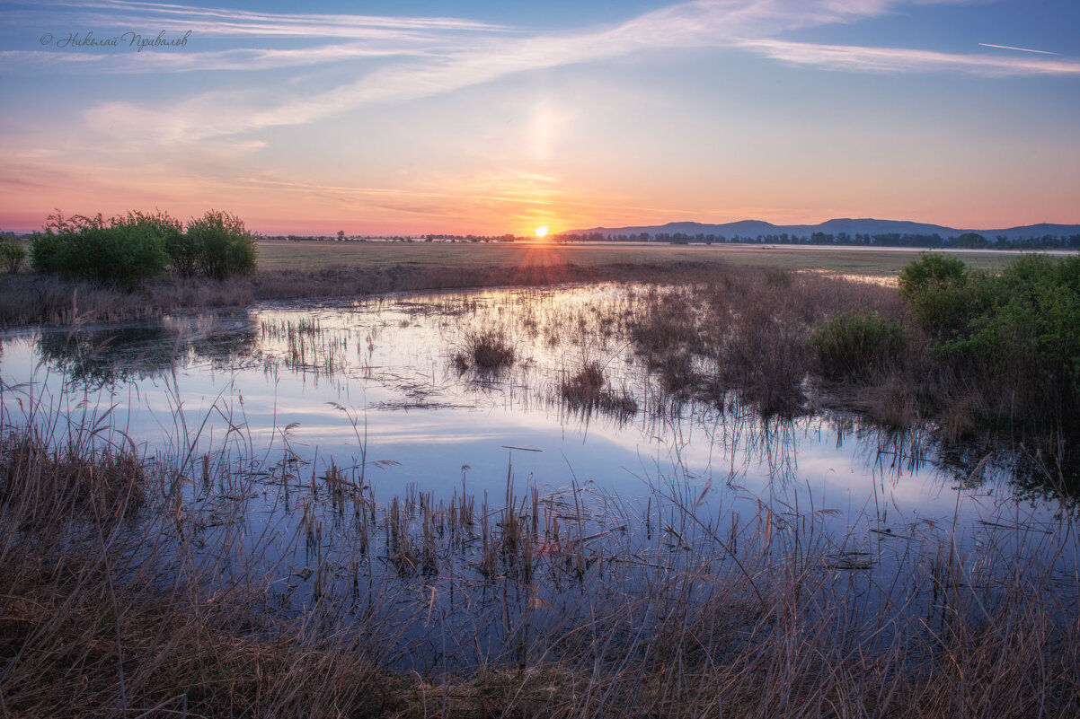 Рассвет. - Николай Привалов