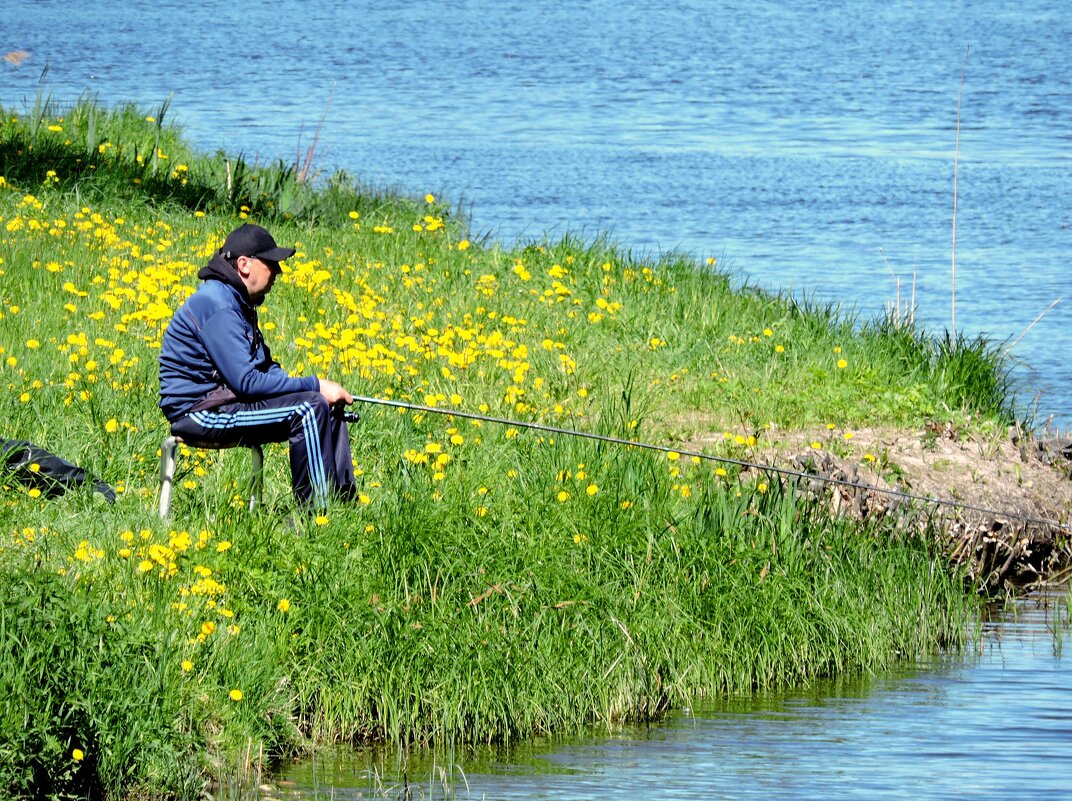 Среди одуванчиков... - Мария Васильева