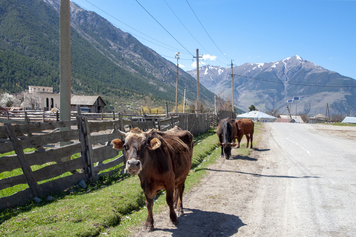 Аул Хурзук. Сельский пейзаж - Gen Аул Хурзук. Сельский пейзаж - Gen