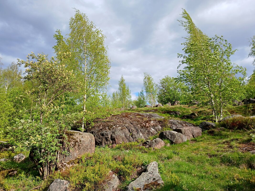 Выборгский парк Культуры и Отдыха на Батарейной горе. - Лия ☼