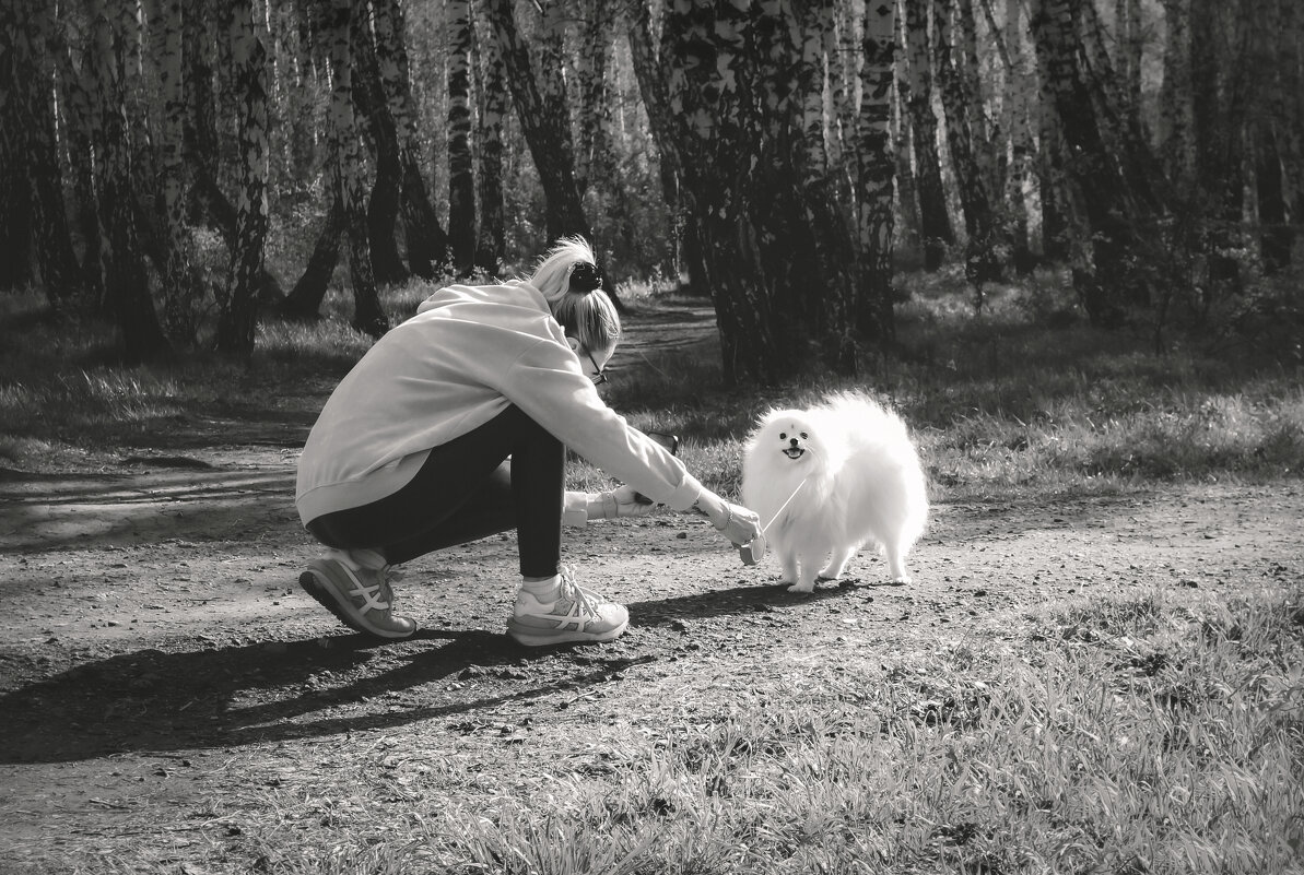 Собачья фотосессия (чб) - Сергей Царёв