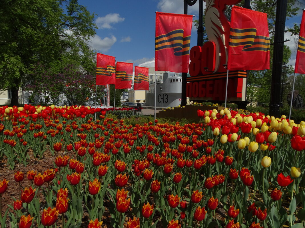 В Нижнем Новгороде - svk *