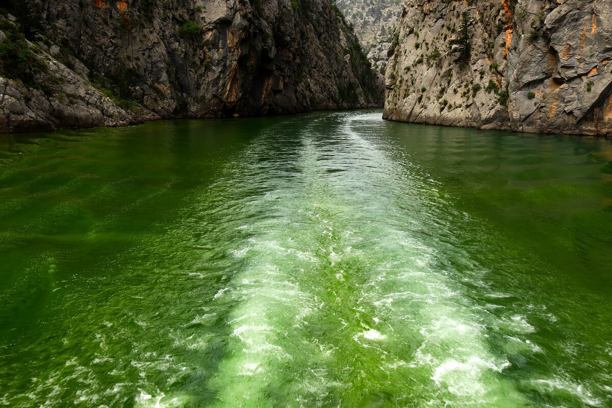 След - Юрий. Шмаков