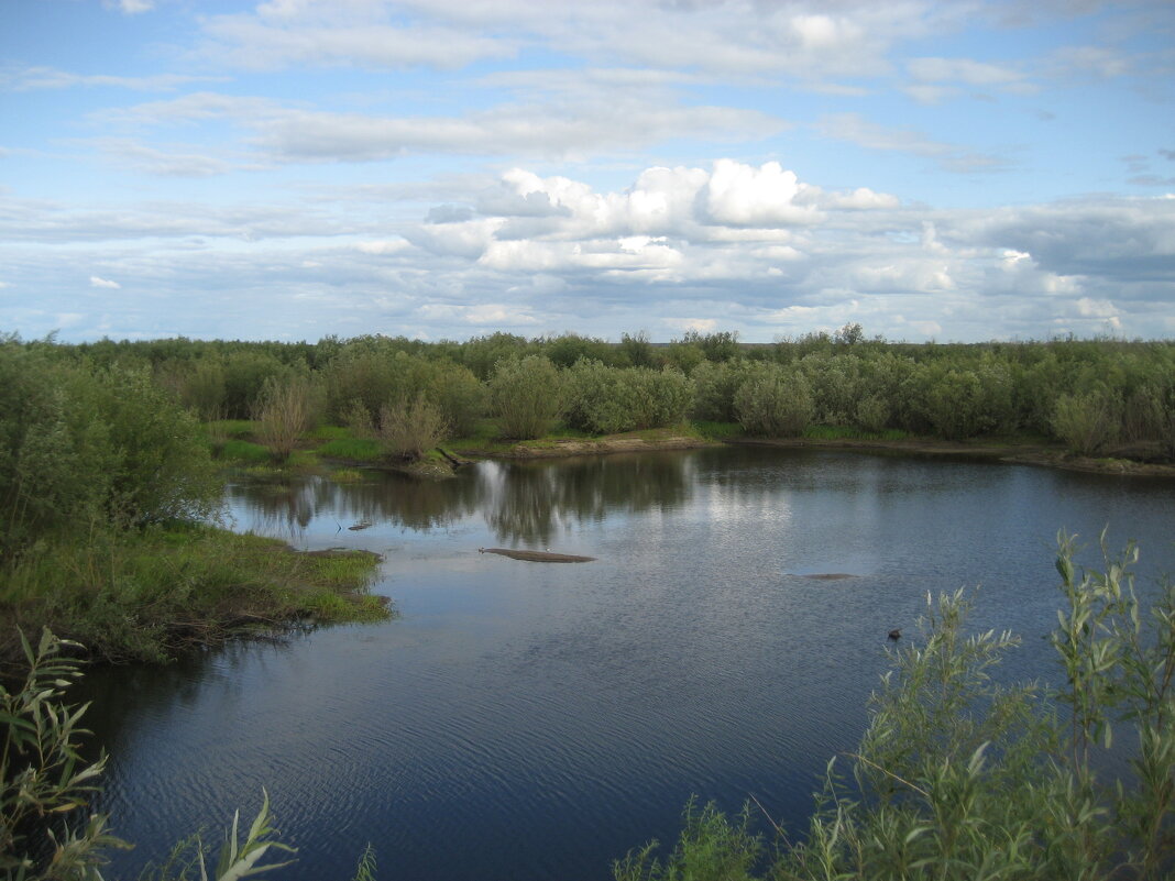 Лето - Anna Ivanova