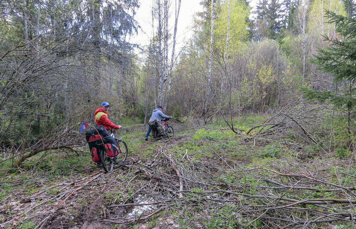 Из Рузы напрямки на Дубосеково - Сергей Цветков