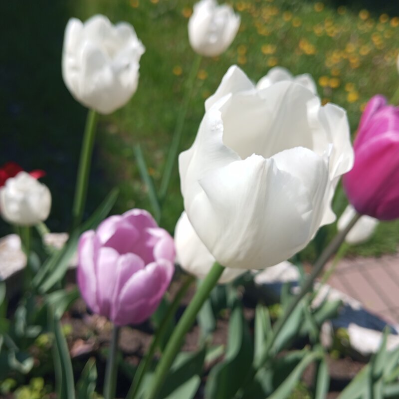 На улицах города - Елена Семигина