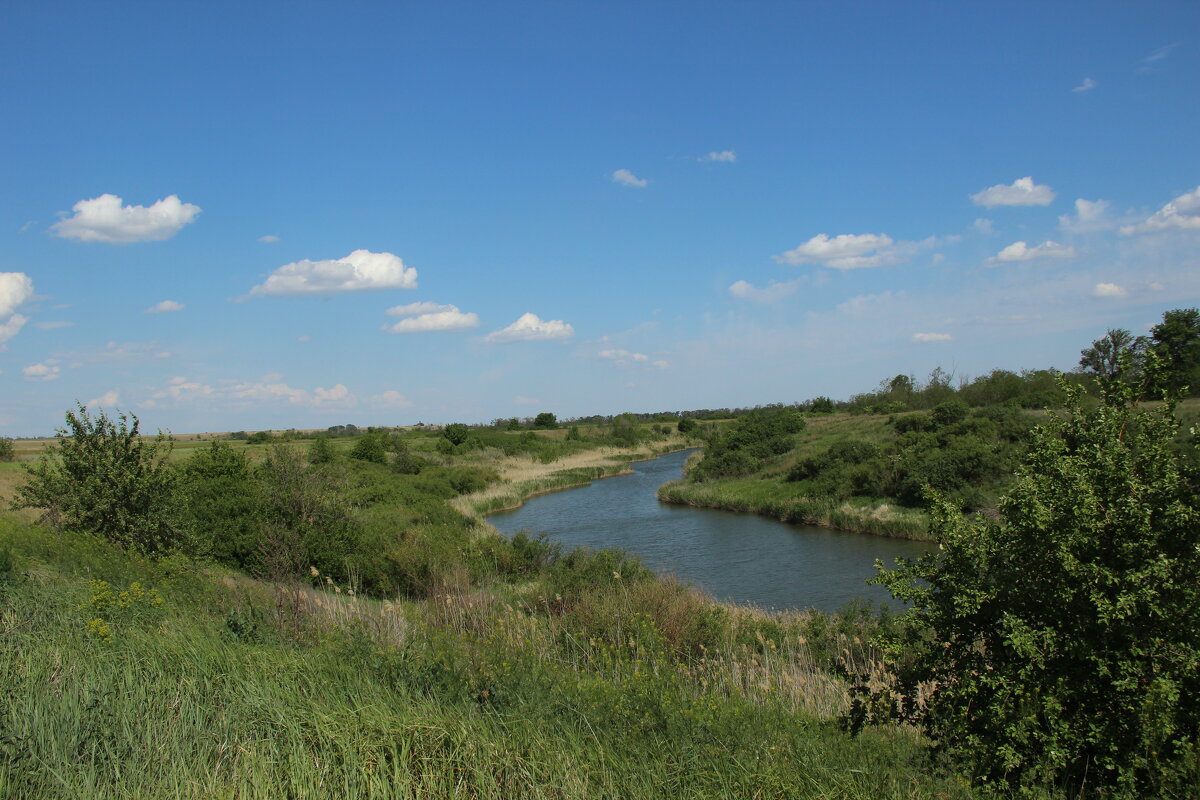 Местная река. - Виктор 