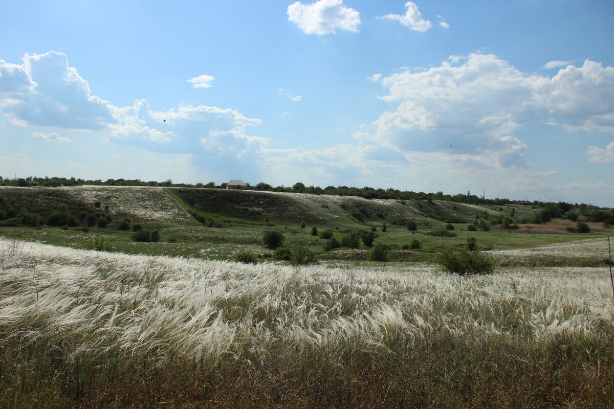 Ковыль. - Виктор Ковыль. - Виктор
