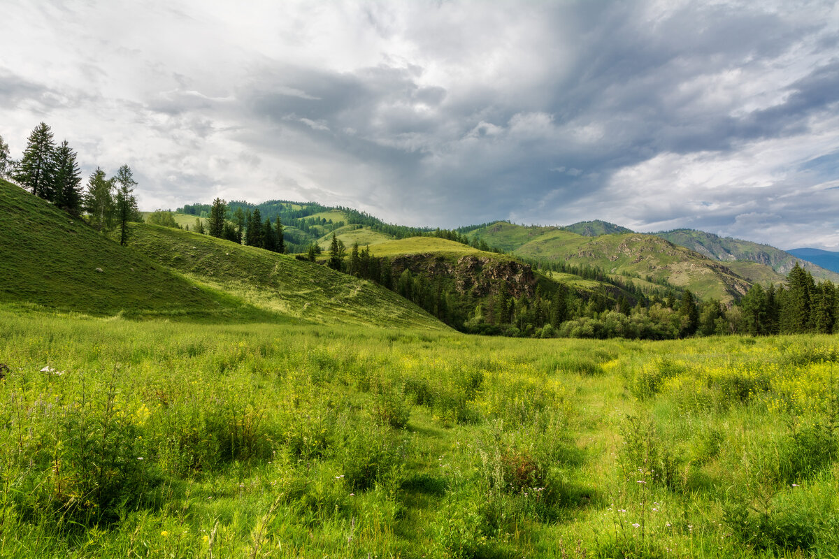 Алтай - Александр Шацких