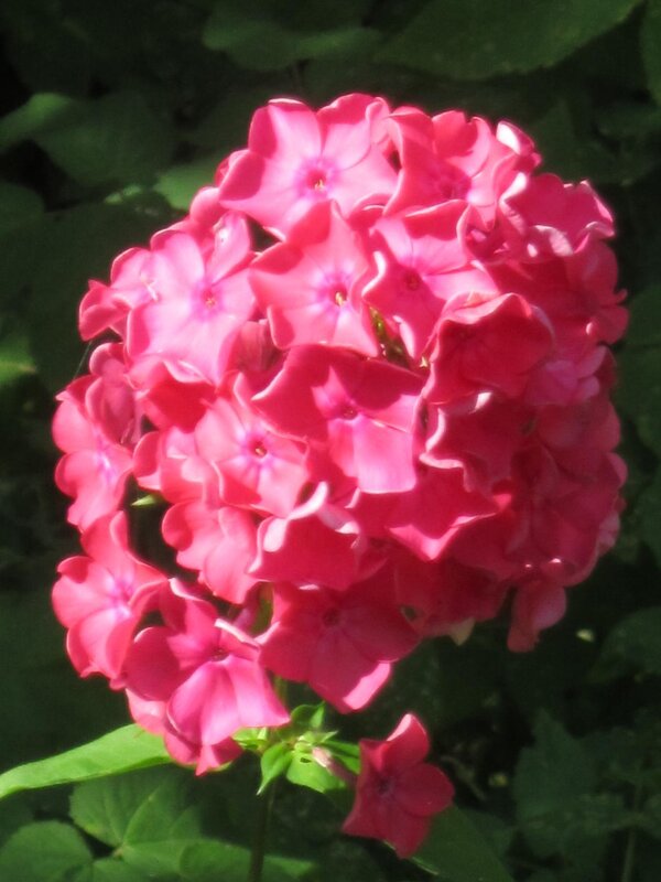 Красота! - Дмитрий Никитин