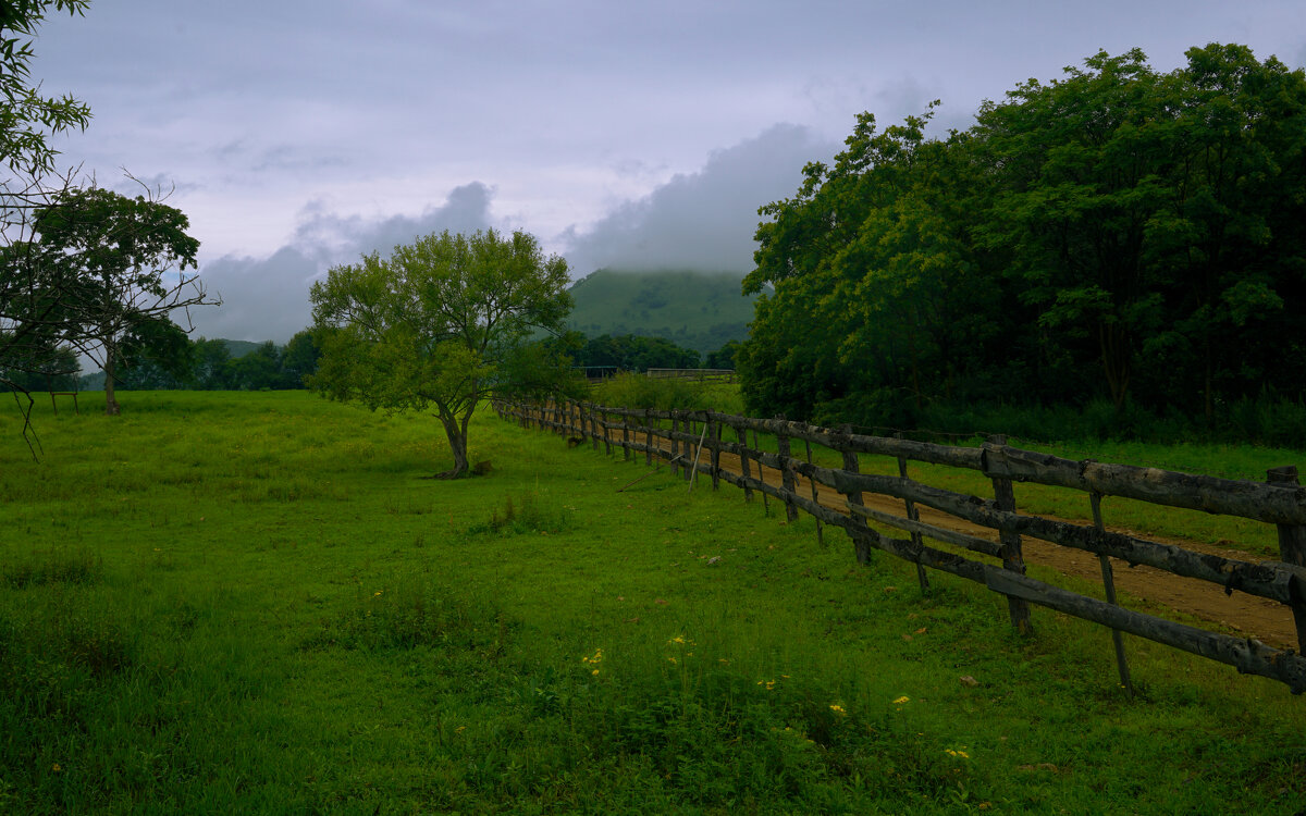 Пейзаж - Эдуард Куклин