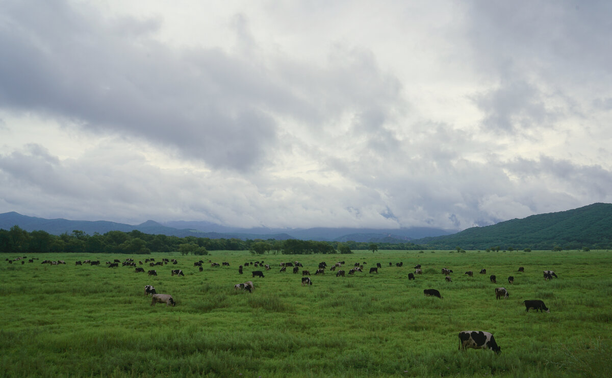 Пейзаж - Эдуард Куклин