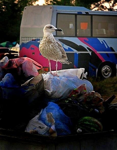 . - Александр Хоменко