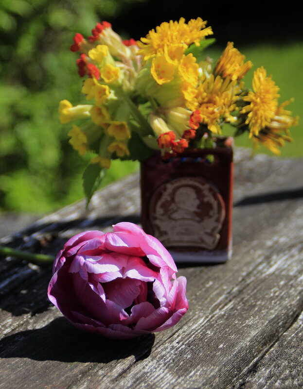 Скромные цветочки.. - Татьян@ Ивановна Скромные цветочки.. - Татьян@ Ивановна