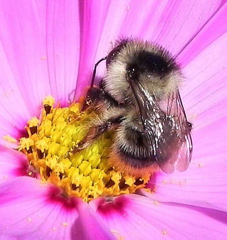 Трапеза - Oleg4618 Шутченко