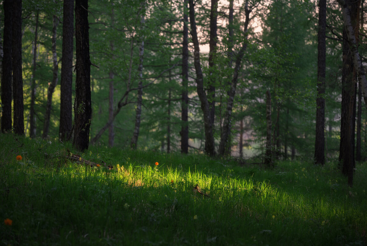 * - Александр Иванов * - Александр Иванов