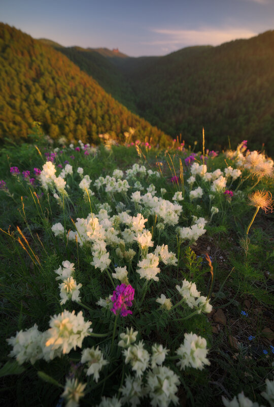 * - Александр Иванов