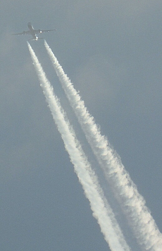 Птица не хищная, пропускаем... - Юрий Велицкий Птица не хищная, пропускаем... - Юрий Велицкий