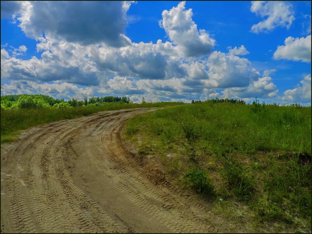Дорога в лето - Наталья Rosenwasser Дорога в лето - Наталья Rosenwasser