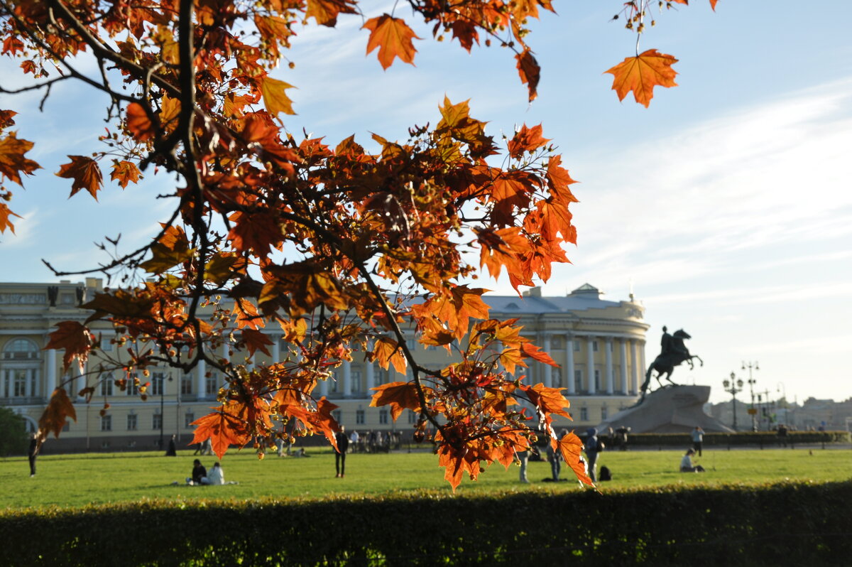 С Днём города, Сант-Петербург! - Татьяна Машошина С Днём города, Сант-Петербург! - Татьяна Машошина