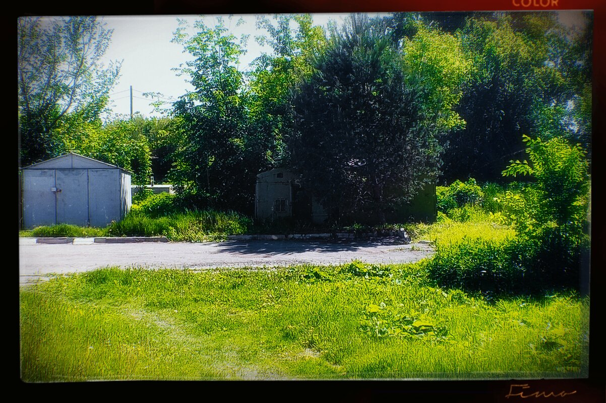 Гараж, в зелени. - Игорь Солдаткин