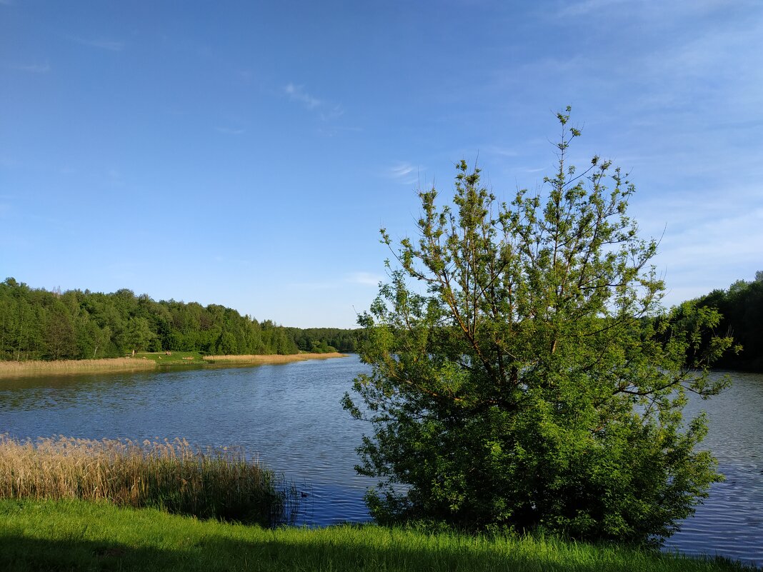 Июль в мае - Андрей Лукьянов Июль в мае - Андрей Лукьянов