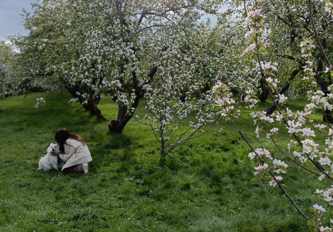 все в белом... - Галина R...