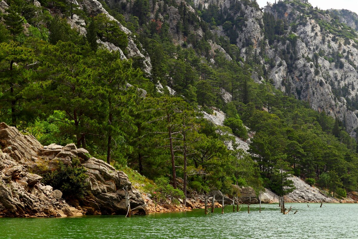 Скалистые берега - Юрий. Шмаков Скалистые берега - Юрий. Шмаков