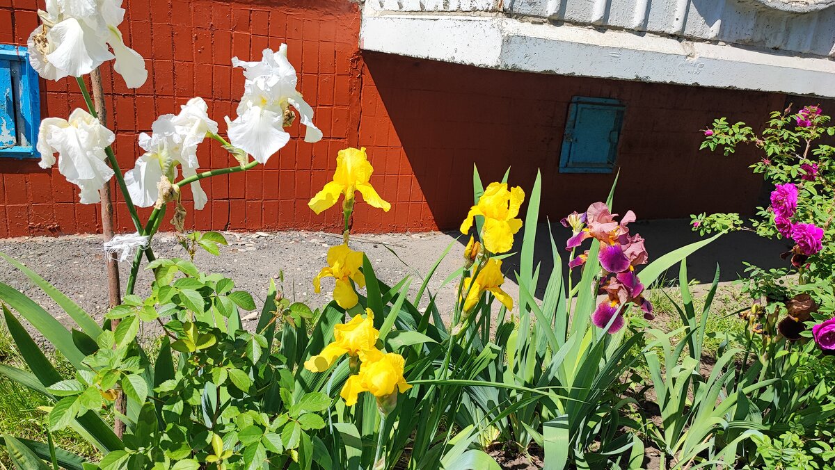 ,,, - Сергей Тимоновский