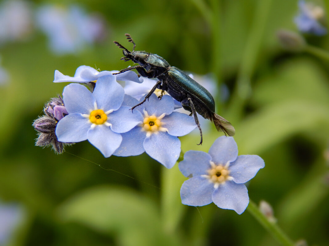 Удачная посадка - Александр Ковальчук Удачная посадка - Александр Ковальчук